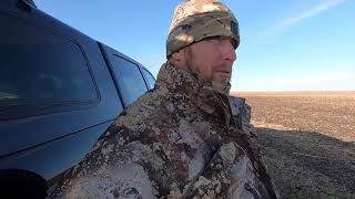 Boykin Spaniel Puppies First Hunt With His New Vest [upl. by Brandais522]