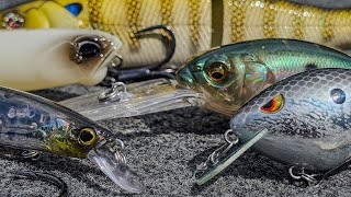 Top 5 Baits For October Bass Fishing [upl. by Gnohp]