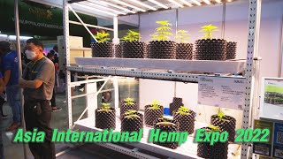 Asia International Hemp Expo 2022  Weed Expo  Cannabis Expo  in Thailand [upl. by Nivk]