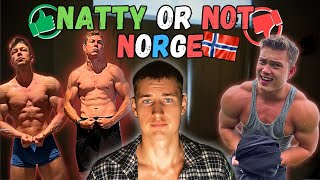 NATTY OR NOT NORGE [upl. by Ahsirtak]