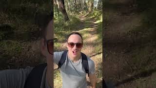 Nerang National Park Circuit A challenging half day hike [upl. by Linson860]