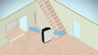 Dehumidifiers How do they work [upl. by Ocsecnarf]