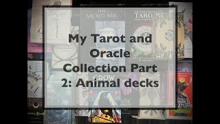 My Tarot and Oracle Collection Part 2 Animal decks [upl. by Tebasile]