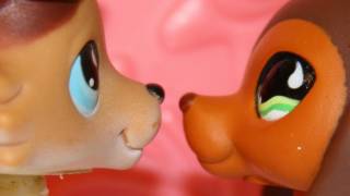 Littlest Pet Shop Popular Episode 6 Moments of Reflection [upl. by Ruddy]