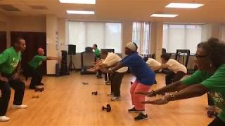 Strength Training Workout for Older Adults [upl. by Eussoj]