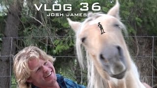 NEW ZEALAND BUSHMAN JACK WHIBLEY  CATCH N COOK  VLOG 36 [upl. by Lorrimer674]