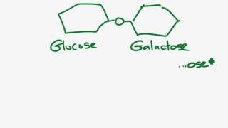 Lactose free milkmp4 [upl. by Touber]