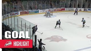 GOAL  Kristian Reichel  Jan 30 2018 vs Prince Albert Raiders [upl. by Etterraj]