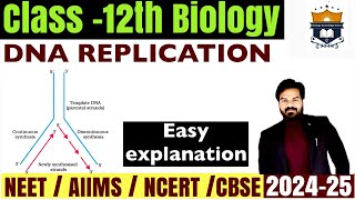 Dna Replication 🧬  Chapter Molecular basis of Inheritance Class 12 Biology  Genitics  NEET [upl. by Ruff342]