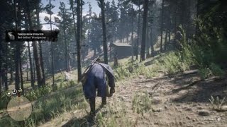 RDR2  Woodpecker location  Tips Description [upl. by Nyrtak]