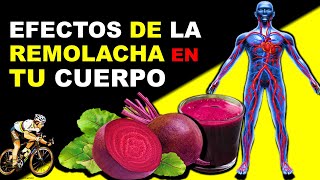 BENEFICIOS DE LA REMOLACHA PARA MEJORAR TU SALUD Betabel [upl. by Elockcin319]