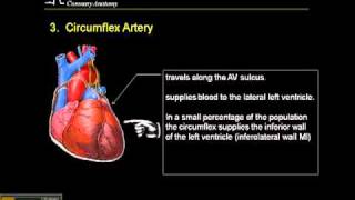 1215 Lead ECG Coronary Anatomy Part 3 [upl. by Jeanna]