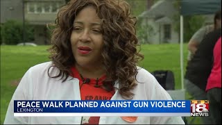 Peace Walk against gun violence planned to carry on legacy of Anita Franklin [upl. by Sheffield513]