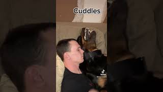 Rottweiler growling cuddles [upl. by Grigson]