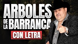 ARBOLES DE LA BARRANCA con LETRA El Coyote y su Banda Viejitas Rancheritas [upl. by Nwahsal]