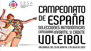 Pista 6 CESA Voleibol Infantil  Jornada Tarde Jueves 29062023 [upl. by Giule637]