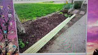 BUILDING A RAISED BED WITH RETAINING WALL BY A DRIVEWAY  TIPS DEMO DISCUSSION [upl. by Ahsoet682]