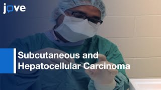 Subcutaneous and Hepatocellular Carcinoma Xenografts  Protocol Preview [upl. by Leila]