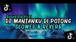 DJ MANTANKU DI POTONG  SLOWED  REVERB  SOUND OLD VIRAL TIKTOK [upl. by Romilly]