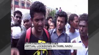 Jallikattu Protest Public transport to remain off roads [upl. by Yddor]