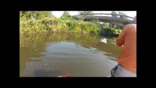 Fishing for Pike with Ripple Guide Service Rick  and Bob August 30 2012 [upl. by Ahsiemat]