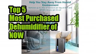 Top 5 Most Purchased Dehumidifier of NOW [upl. by Lasser155]