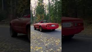 Six carb Busso V6 Alfa Spiderengine sound [upl. by Gayner]