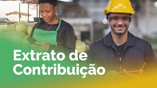 Meu INSS Como ver o extrato de contribuição CNIS [upl. by Rochus359]