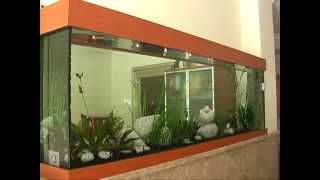 Aquarium sur mesure deau douce odyssée aquarium [upl. by Idnyl]