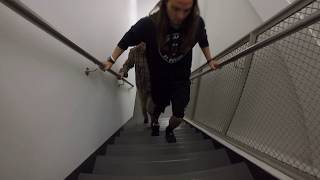 Utah Bionic Leg  Stair Climbing  Aboveknee Amputee [upl. by Rehpotsrhc]