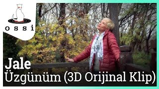 Jale  Üzgünüm 2014 3D Versiyon [upl. by Conlin469]