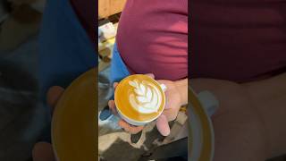 amazing latte art 101 shots [upl. by Rorrys]