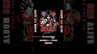 WASP Live in Concert  History Toronto on Nov 11 2024 WASP WASPLive ONEAliveTour [upl. by Ring]