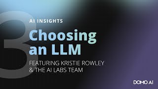 AI Insights Part 3  LLMs Considerations When Choosing an LLM [upl. by Carthy]