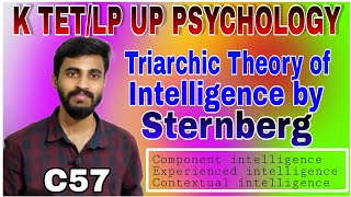 TRIARCHIC THEORY OF INTELLIGENCE BY STERNBERG ട്രയാർകിക്ക്‌ സിദ്ധാന്തംK TET LP UP PSYCHOLOGY [upl. by Ahsenroc382]