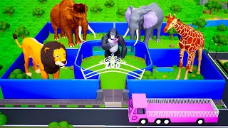 Emergency Zoo Breakout Gorilla and Monkeys Mission to Rescue Animals and Return Them Safely [upl. by Nauqaj]