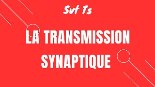 Cours Svt TS la transmission synaptique [upl. by Idona]