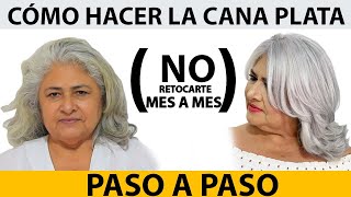 Como hacer la cana PLATA paso a paso  BETTY LAZCANO [upl. by Eromle]