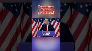 Трамп дал Зеленскому 24 часа трамп зеленский озвучка новости сво [upl. by Bamby765]