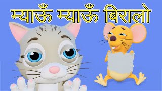 Meow Meow Biralo  Myau Myau Biralo  Nepali Rhymes for Kids  बाल गीत  म्याऊँ म्याऊँ बिरालो [upl. by Cohbath]