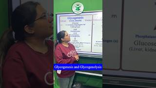 Glycogenesis and glycogenolysis For more details contact on 7814622609 or 8837686765 [upl. by Ingold594]