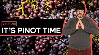 Everything You NEED to Know About Pinot Noir  Asking a Sommelier [upl. by Atiekram313]