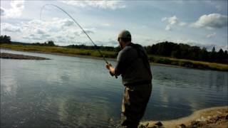 Salmon Fishing on the Miramichi River [upl. by Nyleimaj]