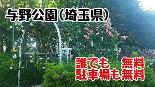 【与野公園（バラ園）埼玉・さいたま市】障がい者料金無料誰でも無料 [upl. by Noreg699]