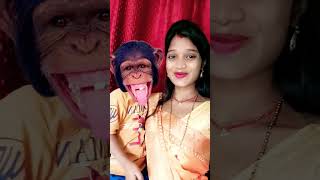 Bandar mama pahan pajama dawat khane🐒🐒🐒funny monkey [upl. by Reinhold]