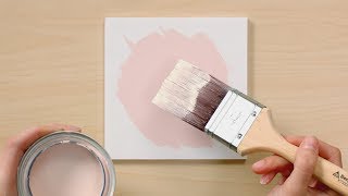 Color Handbook Light  Benjamin Moore [upl. by Eneryt]