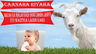 Caanaha Riyaha  Maxaa ka dhalan kara hadii lasiiyo ilmaha yar iyo waqtiga lasiin karo [upl. by Ibrek946]