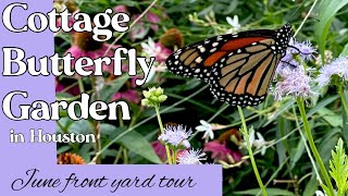 June 18 2024 cottage Butterfly Garden front yard tour in Houston Texas zone 9a9b [upl. by Llecram]