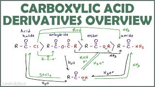 Carboxylic Acid Derivatives Overview and Reaction Map [upl. by Groot542]