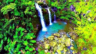 The Best Places to Visit in Hawaii [upl. by Osyth421]